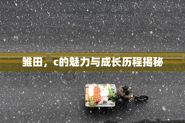 雏田，c的魅力与成长历程揭秘