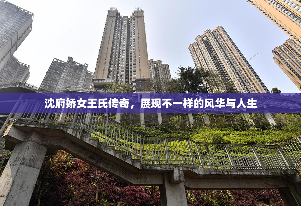 沈府娇女王氏传奇，展现不一样的风华与人生