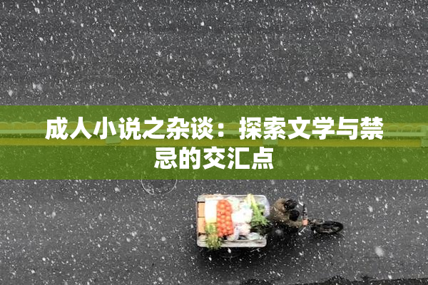 成人小说之杂谈：探索文学与禁忌的交汇点