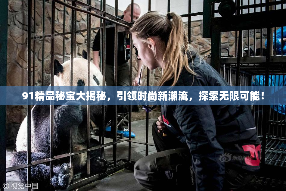 91精品秘宝大揭秘，引领时尚新潮流，探索无限可能！