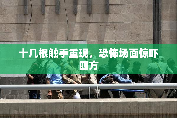 十几根触手重现，恐怖场面惊吓四方