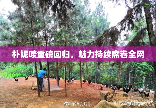 朴妮唛重磅回归，魅力持续席卷全网