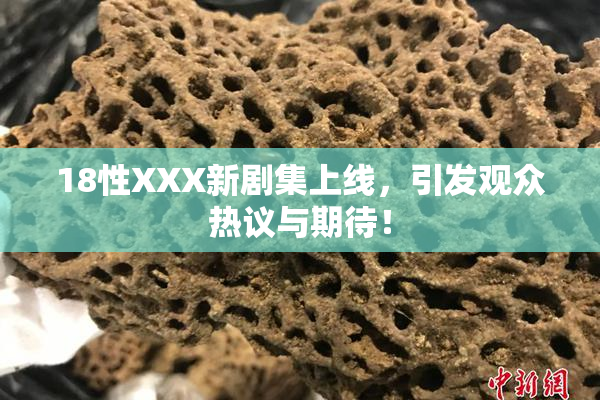 18性XXX新剧集上线，引发观众热议与期待！