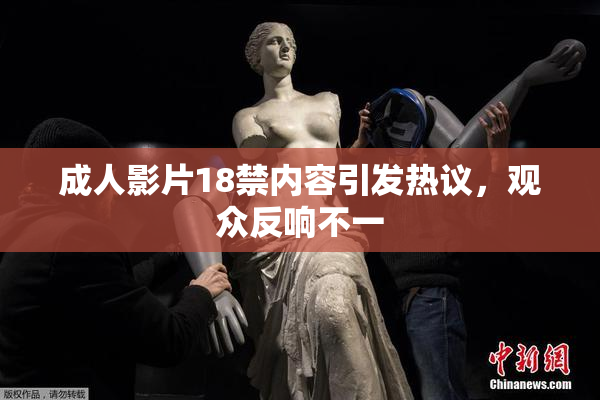 成人影片18禁内容引发热议，观众反响不一