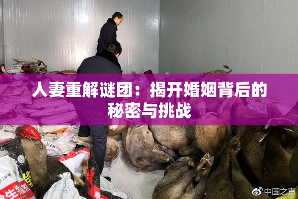 人妻重解谜团：揭开婚姻背后的秘密与挑战