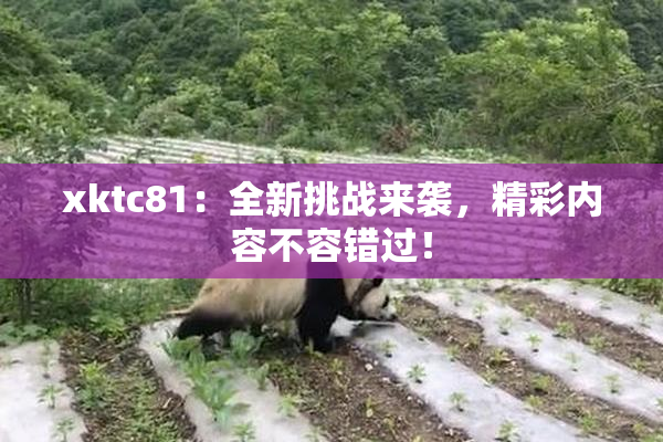xktc81：全新挑战来袭，精彩内容不容错过！