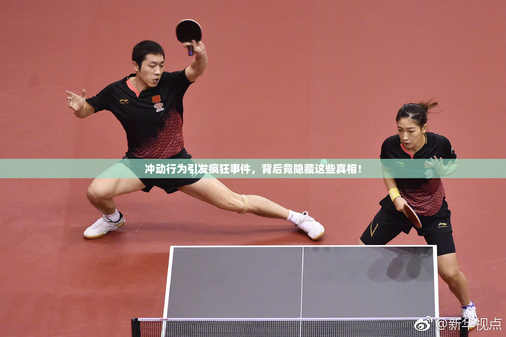冲动行为引发疯狂事件，背后竟隐藏这些真相！