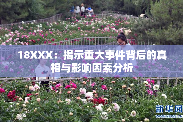 18XXX：揭示重大事件背后的真相与影响因素分析