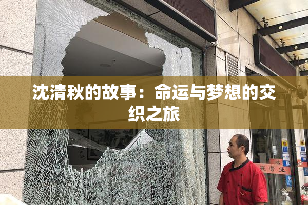 沈清秋的故事：命运与梦想的交织之旅