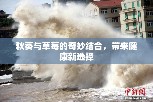 秋葵与草莓的奇妙结合，带来健康新选择