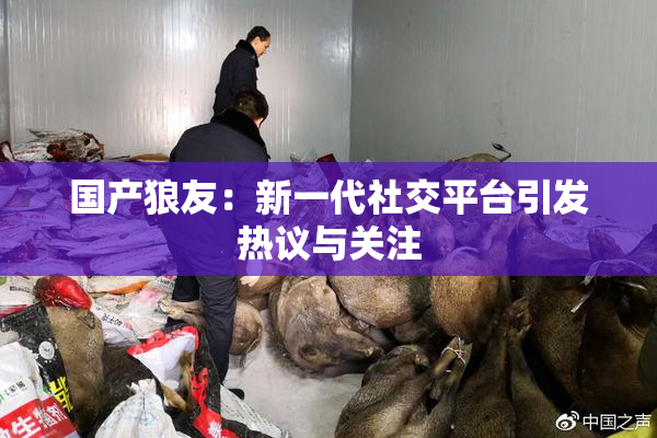国产狼友：新一代社交平台引发热议与关注