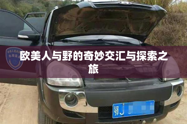 欧美人与野的奇妙交汇与探索之旅