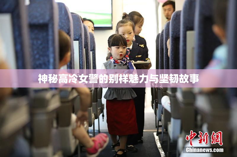 神秘高冷女警的别样魅力与坚韧故事