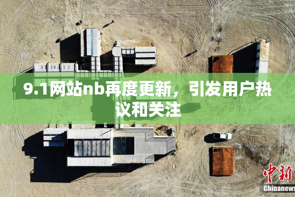 9.1网站nb再度更新，引发用户热议和关注