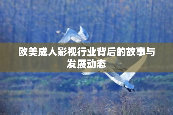欧美成人影视行业背后的故事与发展动态