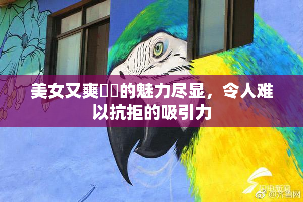 美女又爽❌‌的魅力尽显，令人难以抗拒的吸引力