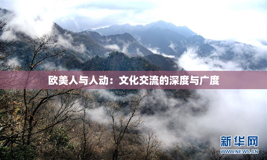 欧美人与人动：文化交流的深度与广度