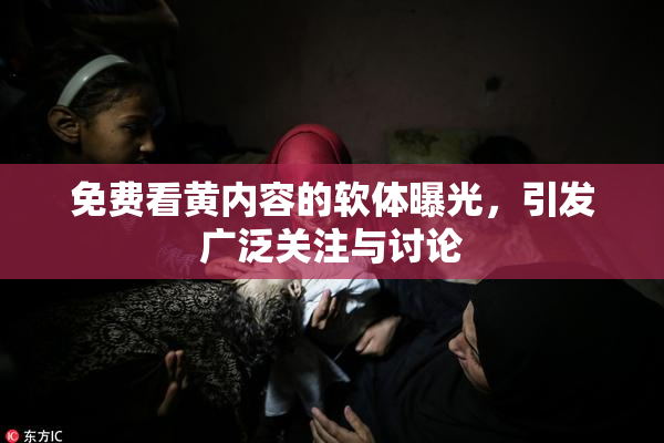 免费看黄内容的软体曝光，引发广泛关注与讨论