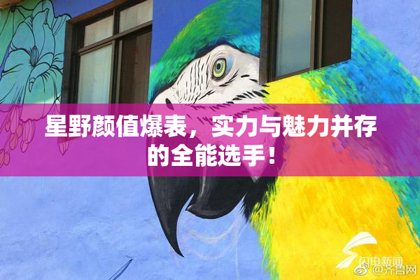 星野颜值爆表，实力与魅力并存的全能选手！