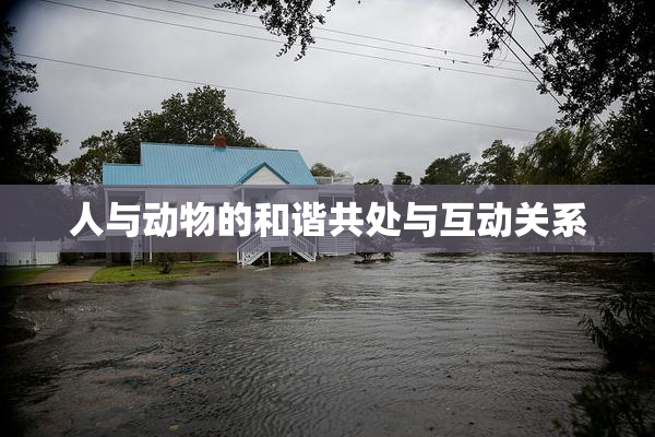 人与动物的和谐共处与互动关系