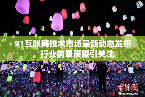 91互联网技术市场最新动态发布，行业前景展望引关注