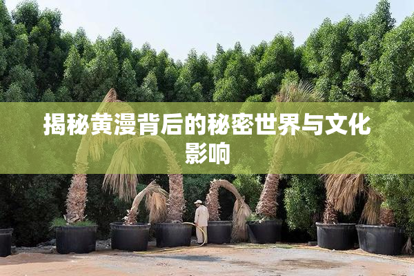 揭秘黄漫背后的秘密世界与文化影响
