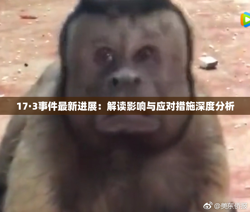 17·3事件最新进展：解读影响与应对措施深度分析