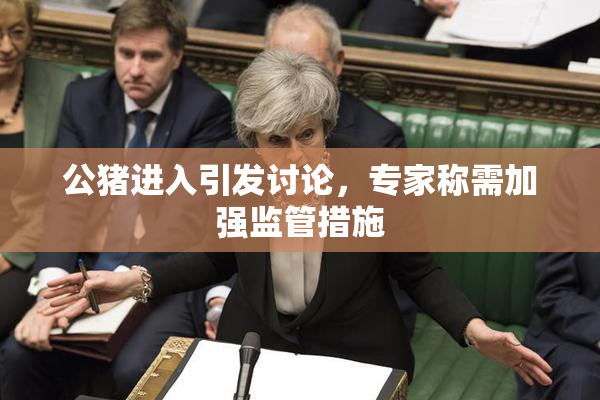 公猪进入引发讨论，专家称需加强监管措施