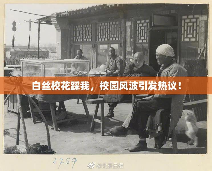 白丝校花踩我，校园风波引发热议！