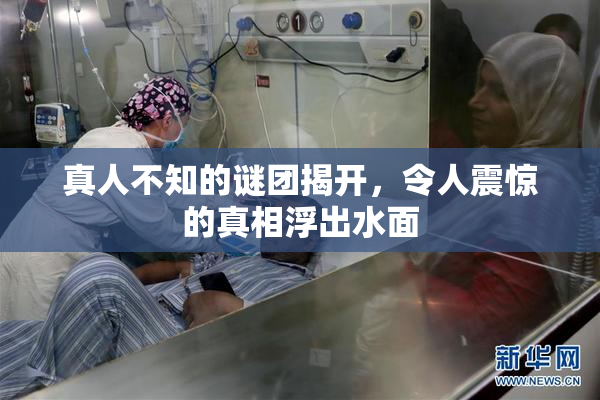 真人不知的谜团揭开，令人震惊的真相浮出水面