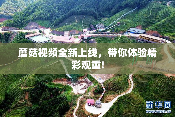 蘑菇视频全新上线，带你体验精彩观重!