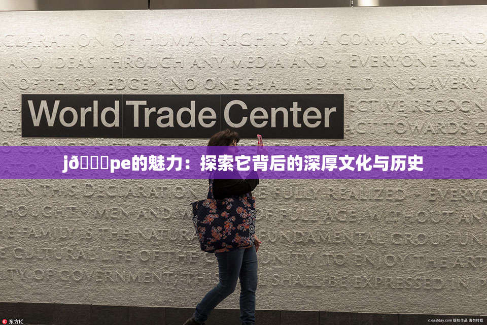 j🈚pe的魅力：探索它背后的深厚文化与历史