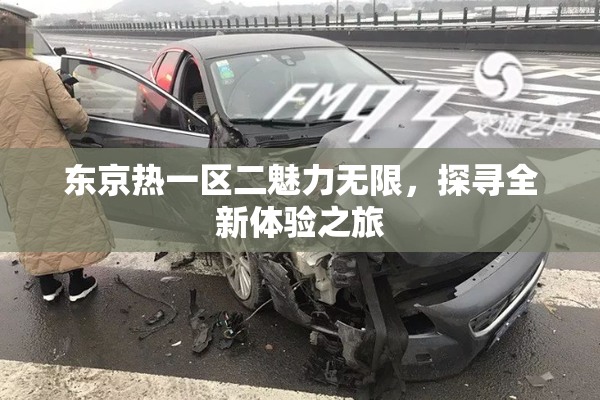 东京热一区二魅力无限，探寻全新体验之旅
