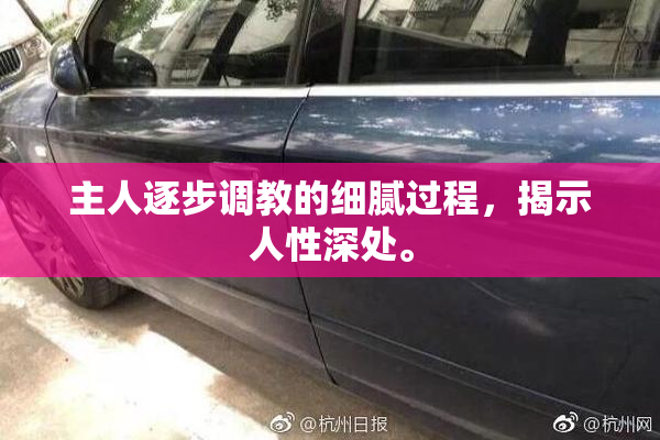 主人逐步调教的细腻过程，揭示人性深处。
