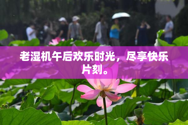 老湿机午后欢乐时光，尽享快乐片刻。