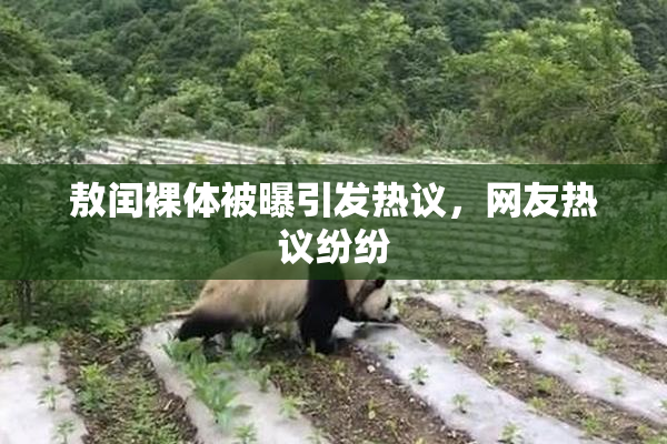 敖闰裸体被曝引发热议，网友热议纷纷