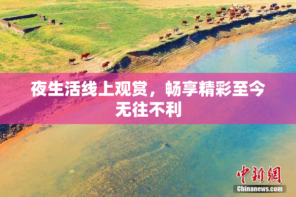 夜生活线上观赏，畅享精彩至今无往不利