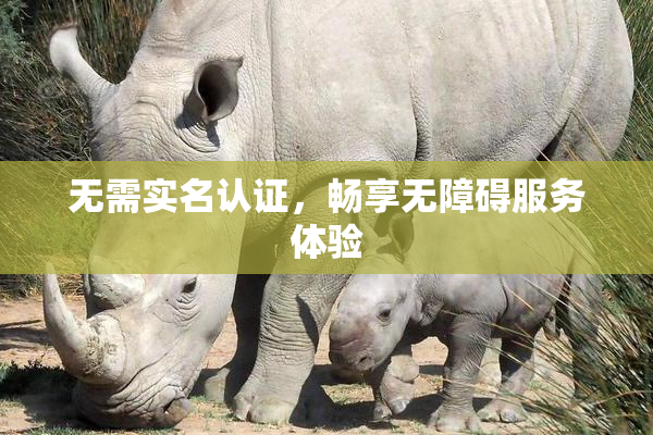 无需实名认证，畅享无障碍服务体验