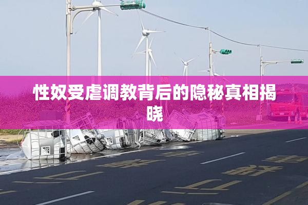 性奴受虐调教背后的隐秘真相揭晓