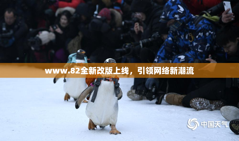 www.82全新改版上线，引领网络新潮流