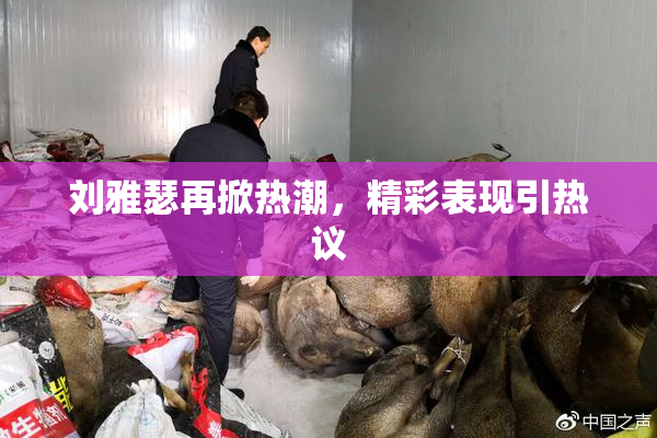 刘雅瑟再掀热潮，精彩表现引热议