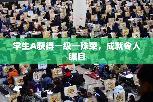 学生A获得一级一殊荣，成就令人瞩目