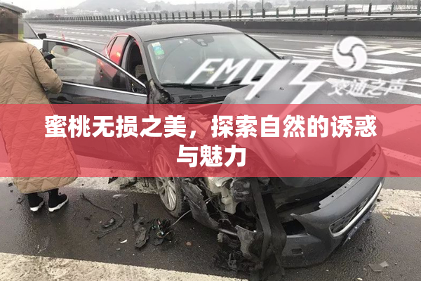 蜜桃无损之美，探索自然的诱惑与魅力