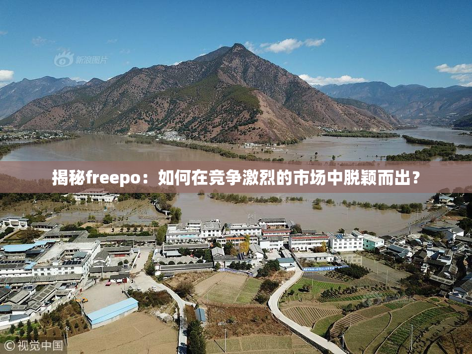 揭秘freepo：如何在竞争激烈的市场中脱颖而出？