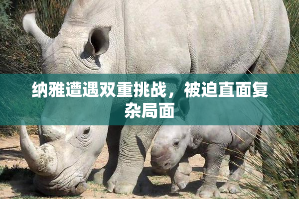 纳雅遭遇双重挑战，被迫直面复杂局面