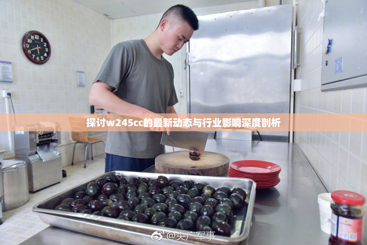 探讨w245cc的最新动态与行业影响深度剖析
