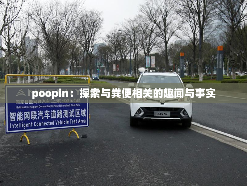 poopin：探索与粪便相关的趣闻与事实