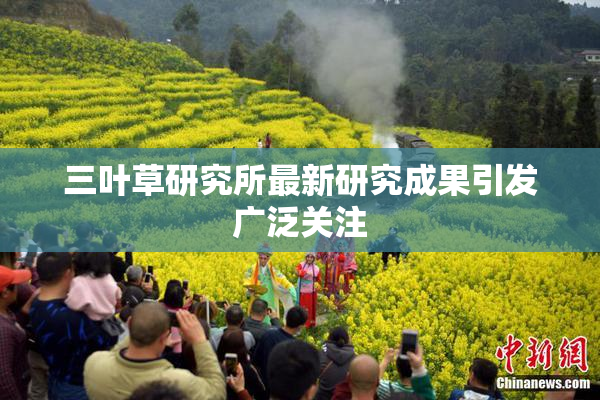 三叶草研究所最新研究成果引发广泛关注