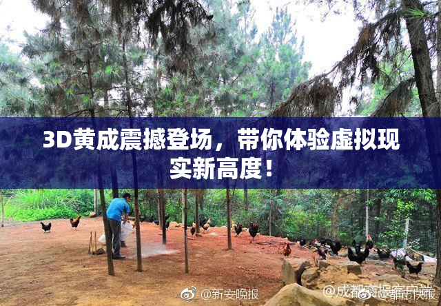 3D黄成震撼登场，带你体验虚拟现实新高度！
