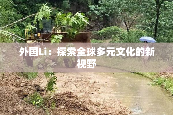 外国Li：探索全球多元文化的新视野